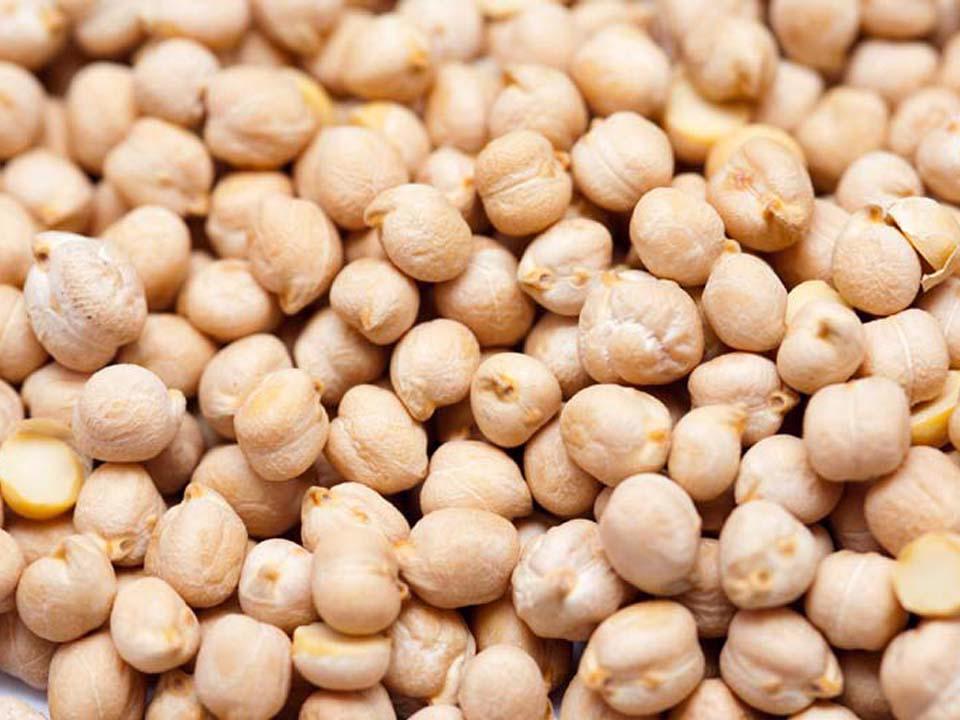 Product image - KABULI CHICKPEAS GONDER TYPE
Specification
Quality: As per our inquiry (Machine cleaned or hand picked)
Purity: 98% MIN, Machine Cleaned
Size: 6-8 mm Max
Moisture Content: 13% MAX
Split: 1.2% MIN
Foreign Material: 2% MAX
Split / Broken/ Damaged Beans: 1.5%  MAX
Fit for human consumption. Free from any abnormal smell or odor and fumigated prior to shipment.
Payment term- Confirmed LC At sight Or 10- 20% Advance 
